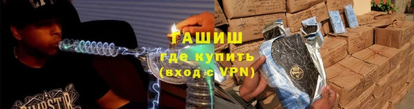 мдпв Бородино