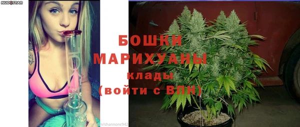 мдпв Бородино