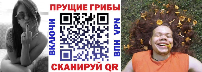 Псилоцибиновые грибы ЛСД  продажа наркотиков  darknet как зайти  Кедровый  hydra как зайти 